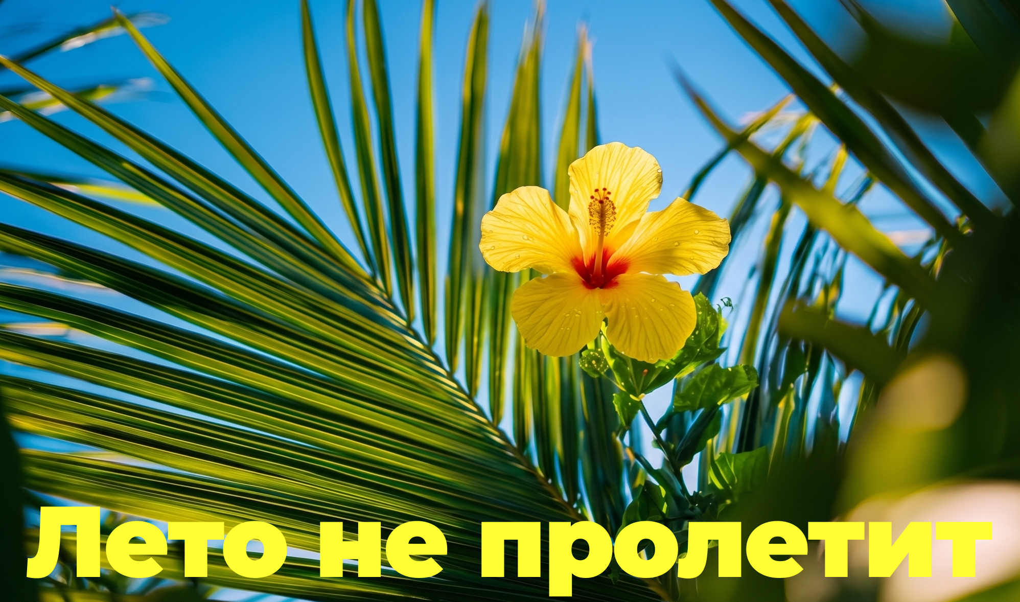 Материал проекта